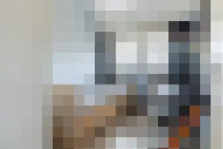 Koolhovenlaan 43 Tilburg thumbnail 24