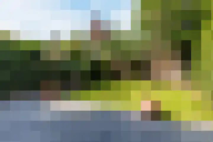 Koolhovenlaan 43 Tilburg thumbnail 28