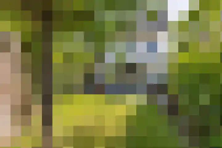 Koolhovenlaan 43 Tilburg thumbnail 29