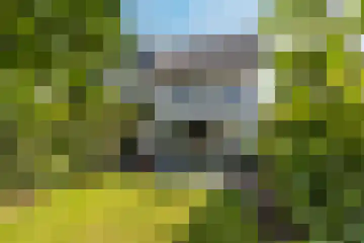 Koolhovenlaan 43 Tilburg thumbnail 30