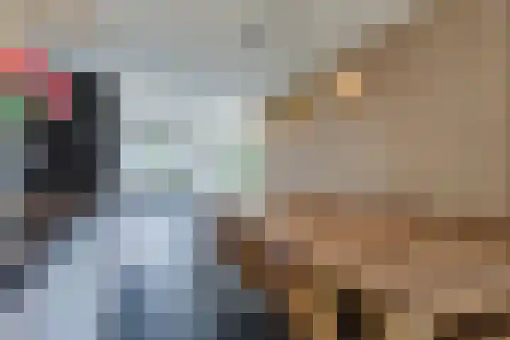 Koolhovenlaan 43 Tilburg thumbnail 5