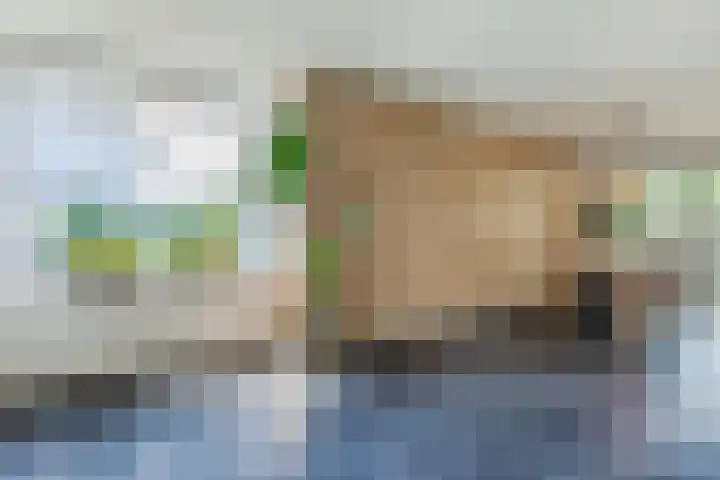 Koolhovenlaan 43 Tilburg thumbnail 6