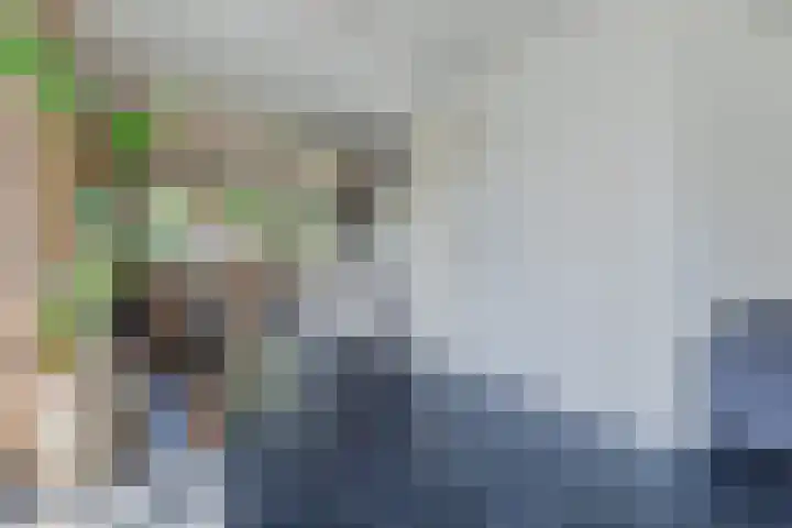 Koolhovenlaan 43 Tilburg thumbnail 8