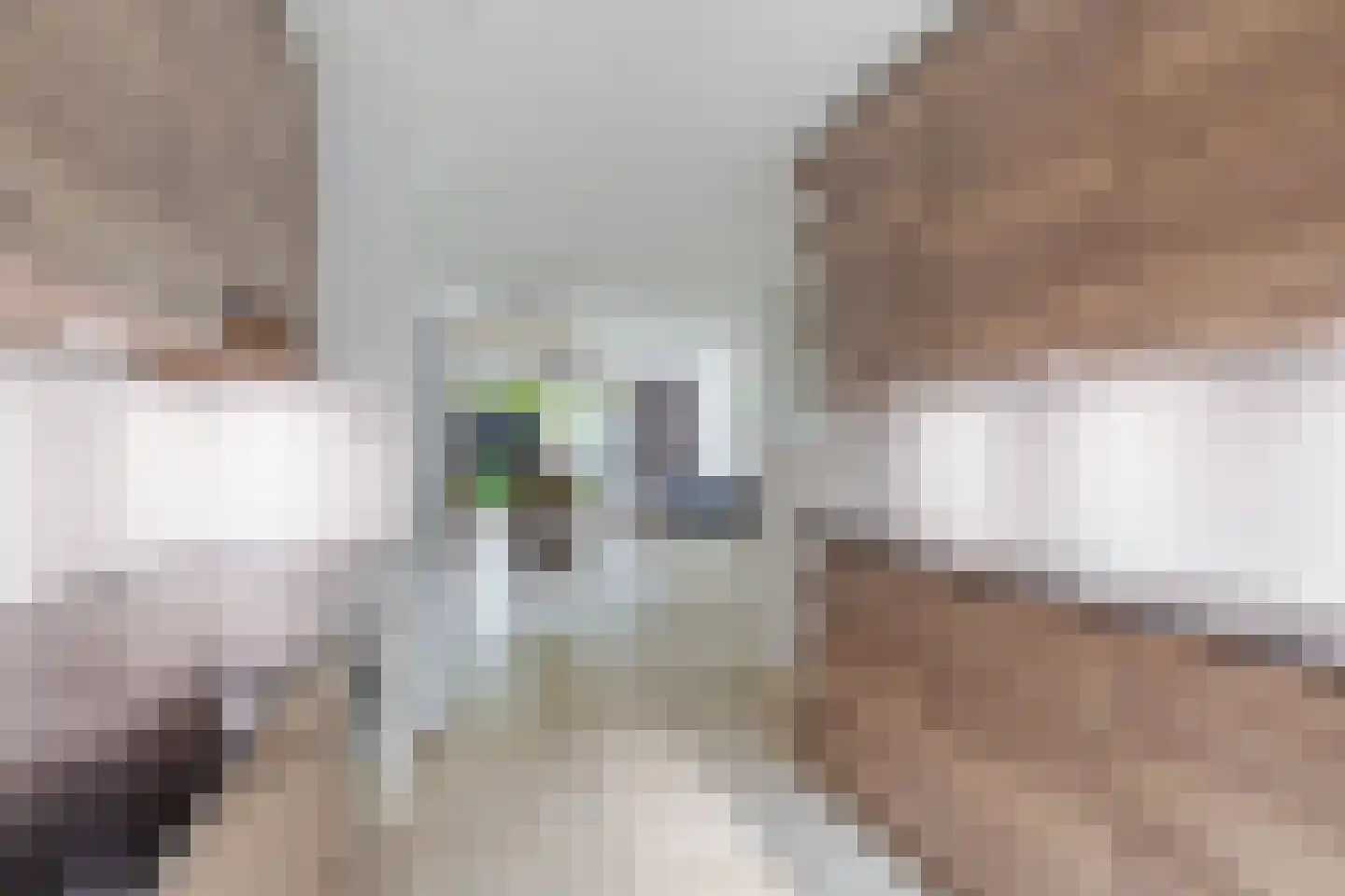 Koolhovenlaan 44 Den Haag thumbnail 11