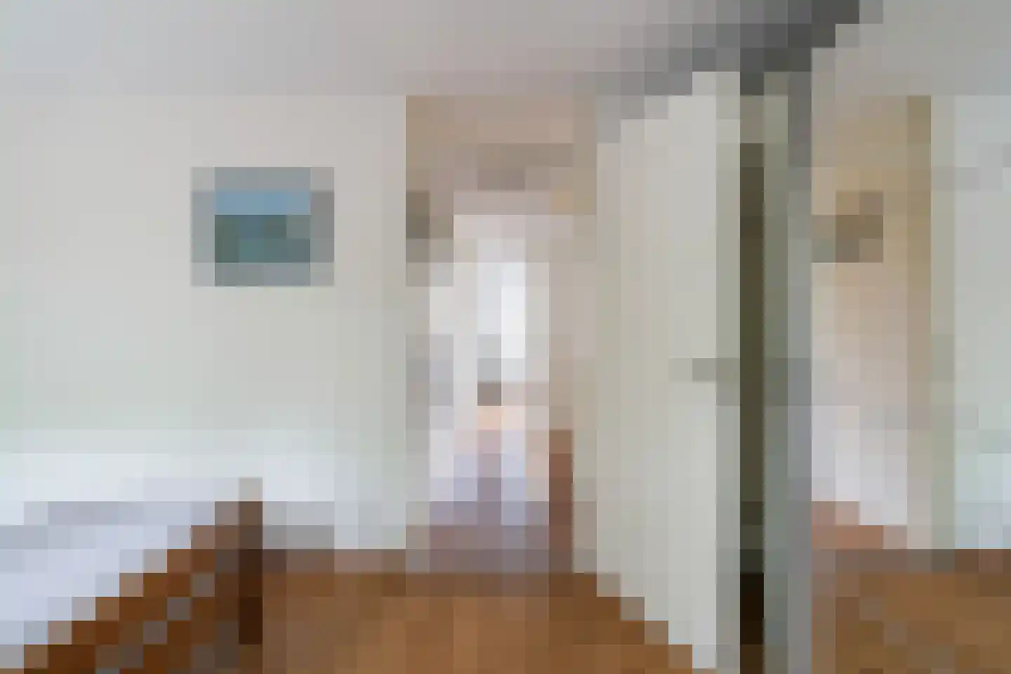 Koolhovenlaan 44 Den Haag thumbnail 21
