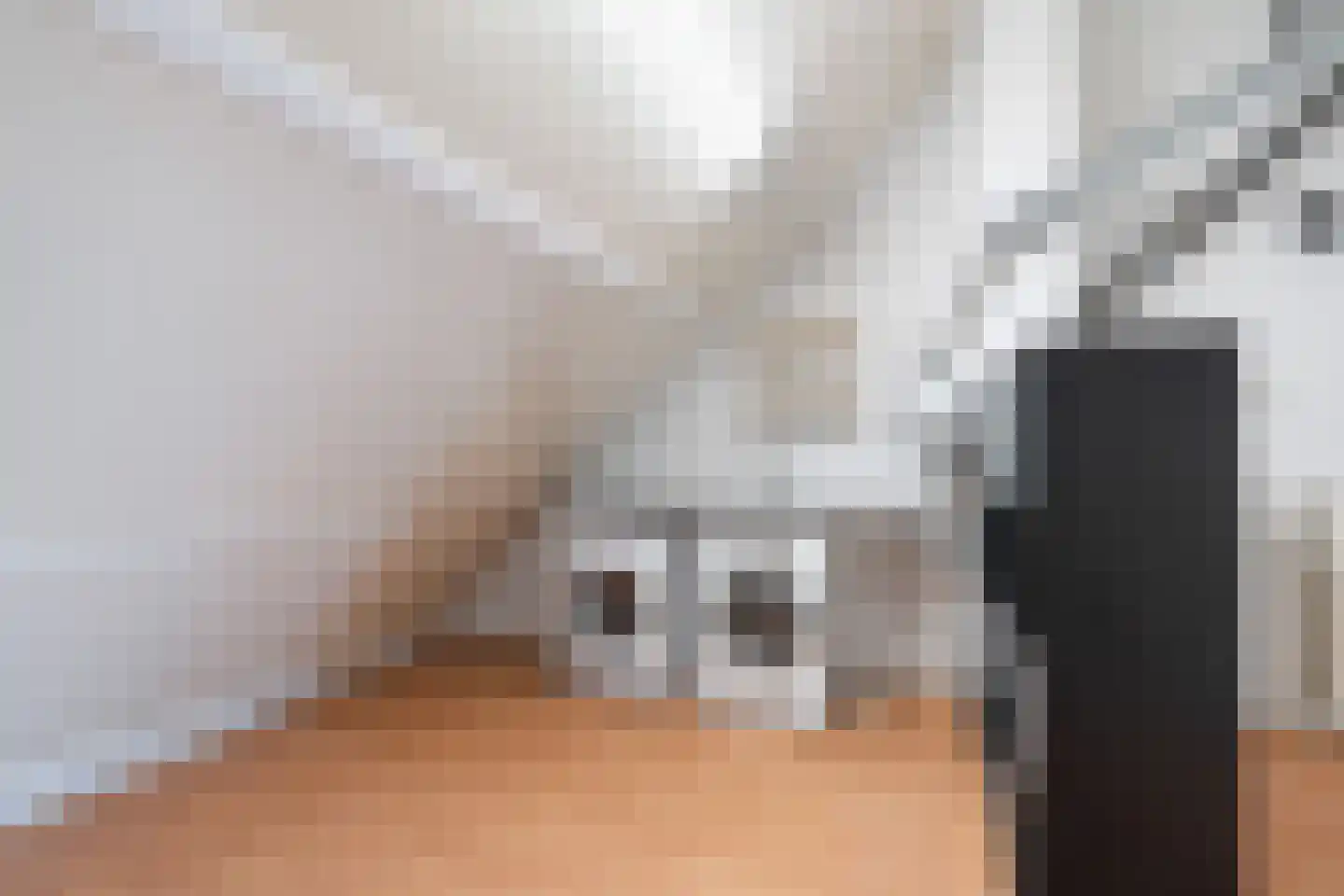 Koolhovenlaan 44 Den Haag thumbnail 31