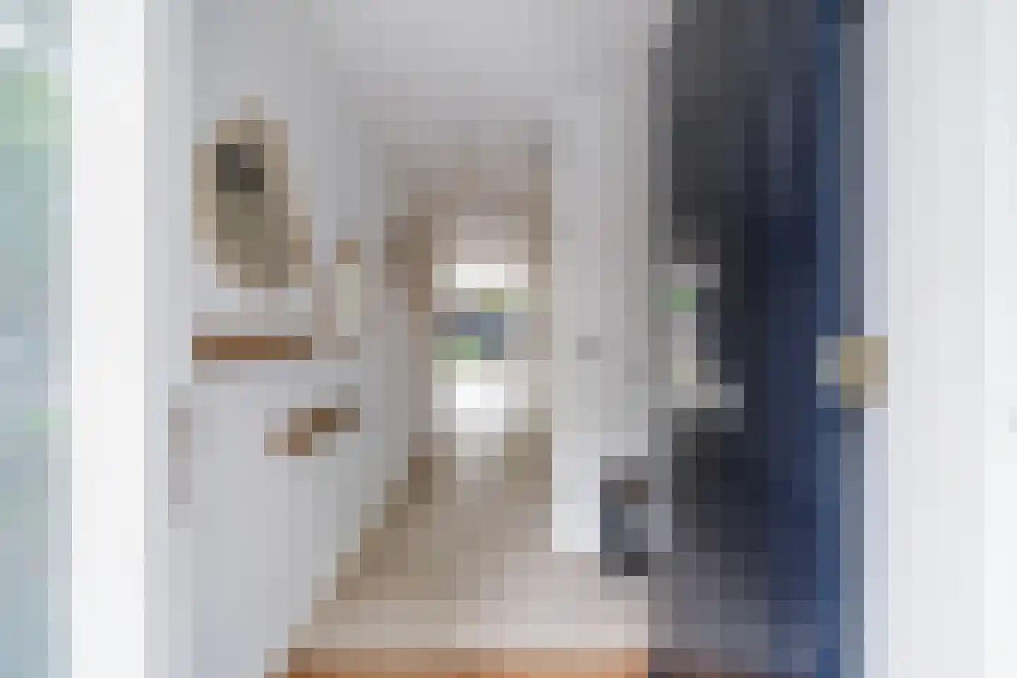 Koolhovenlaan 44 Den Haag thumbnail 34