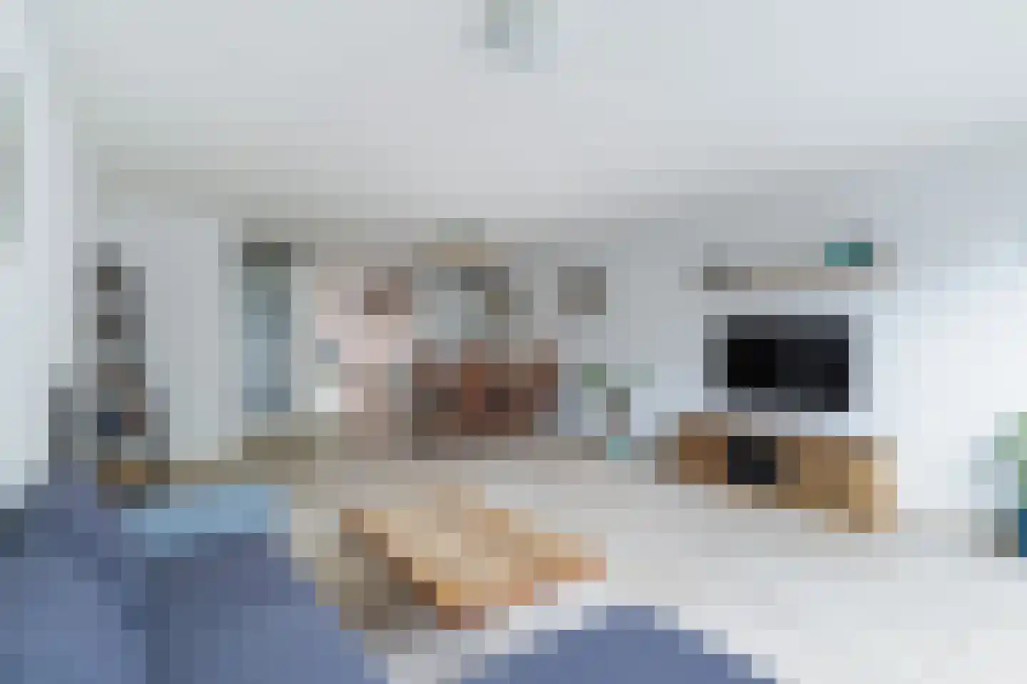 Koolhovenlaan 44 Den Haag thumbnail 4