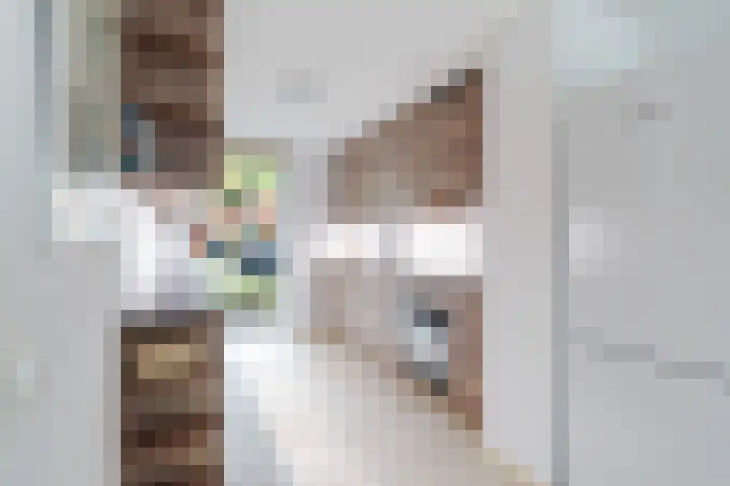 Koolhovenlaan 44 Den Haag thumbnail 8