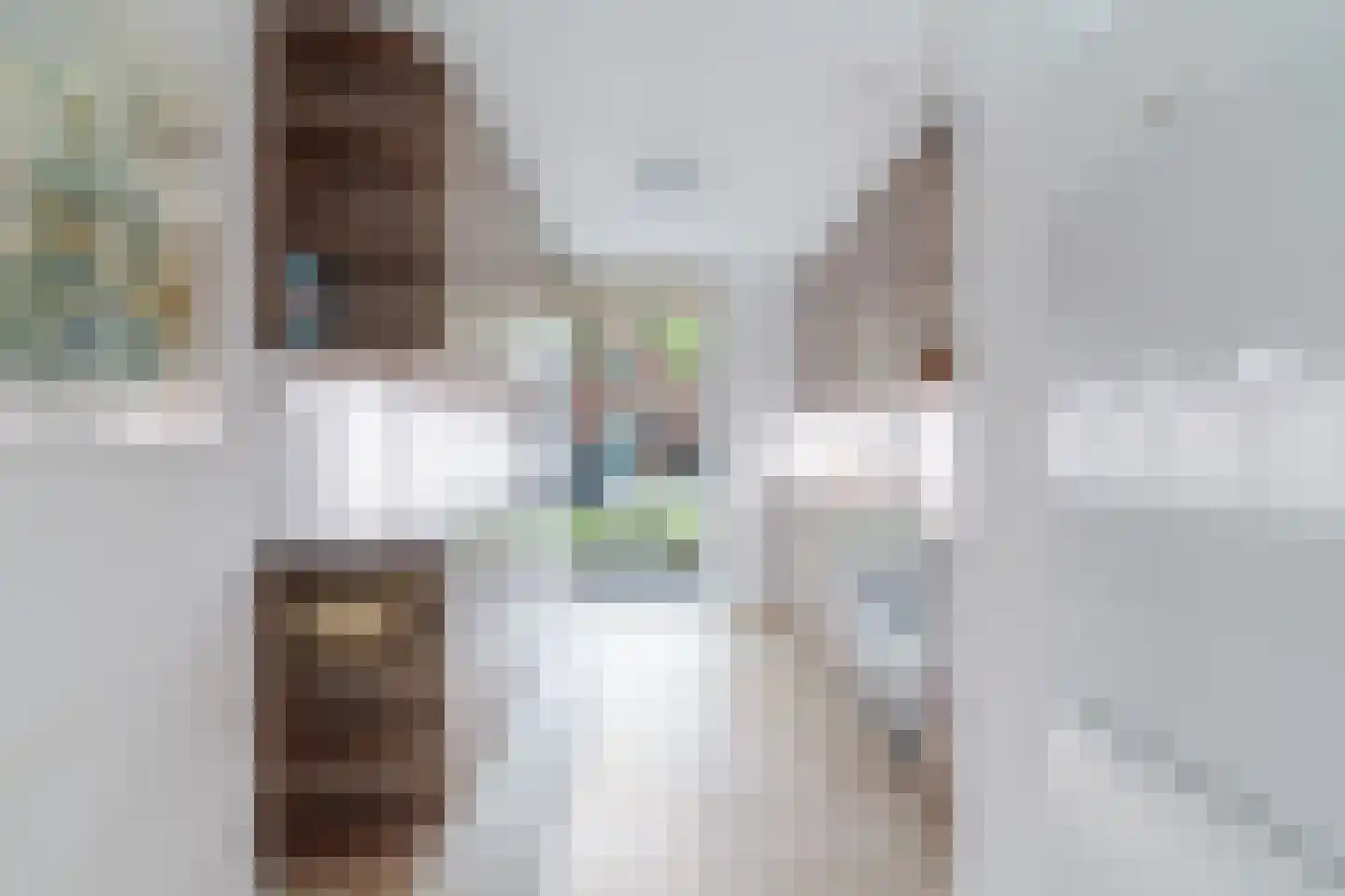 Koolhovenlaan 44 Den Haag thumbnail 9