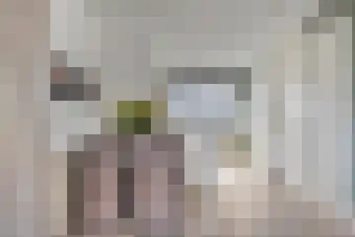 Koolhovenlaan 83 Tilburg thumbnail 11