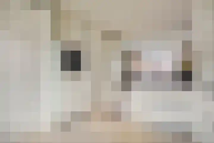 Koolhovenlaan 83 Tilburg thumbnail 14