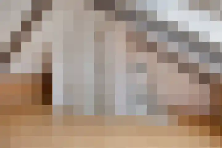 Koolhovenlaan 83 Tilburg thumbnail 25