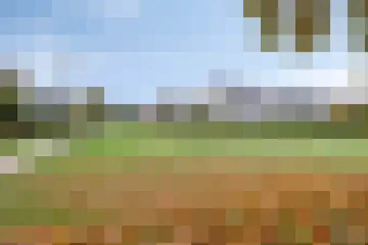 Koolhovenlaan 83 Tilburg thumbnail 35