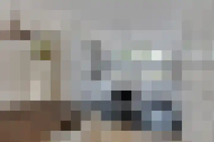 Koolhovenlaan 94 Tilburg thumbnail 10