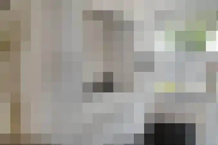 Koolhovenlaan 94 Tilburg thumbnail 11