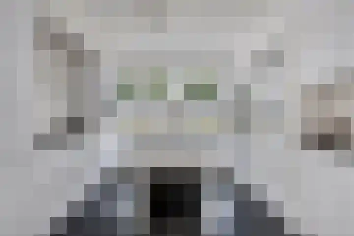 Koolhovenlaan 94 Tilburg thumbnail 12