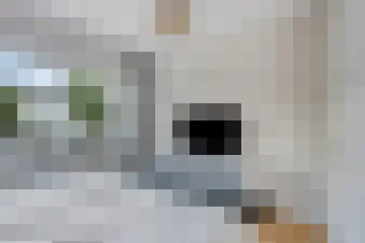 Koolhovenlaan 94 Tilburg thumbnail 17