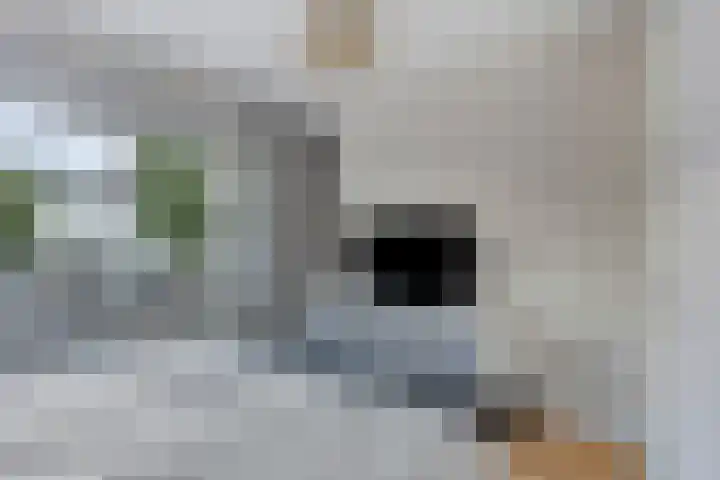 Koolhovenlaan 94 Tilburg thumbnail 18