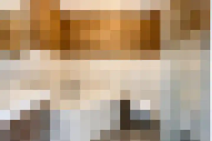 Koolhovenlaan 94 Tilburg thumbnail 20