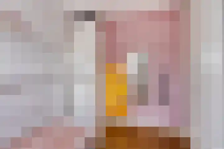 Koolhovenlaan 94 Tilburg thumbnail 23