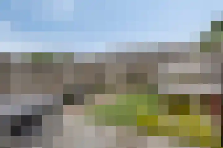 Koolhovenlaan 94 Tilburg thumbnail 29
