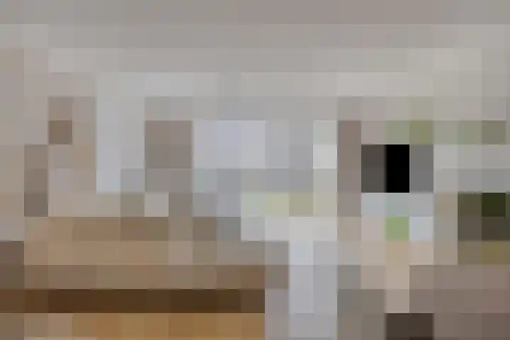 Koolhovenlaan 94 Tilburg thumbnail 4