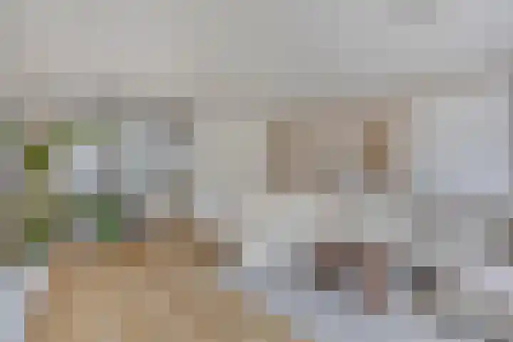 Koolhovenlaan 94 Tilburg thumbnail 6