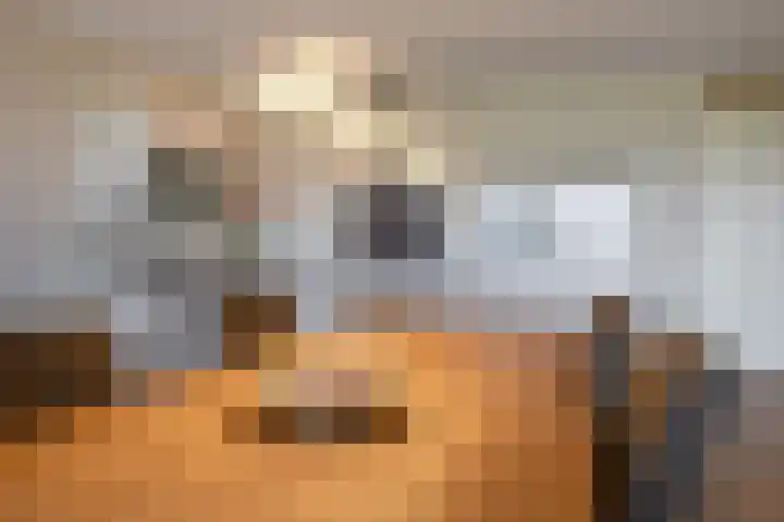 Koolhovenstraat 21 Beverwijk thumbnail 18