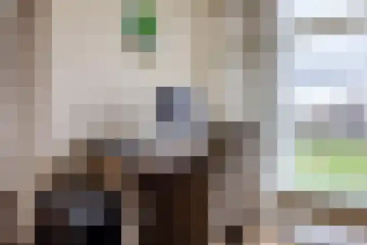 Koolhovenstraat 21 Beverwijk thumbnail 21