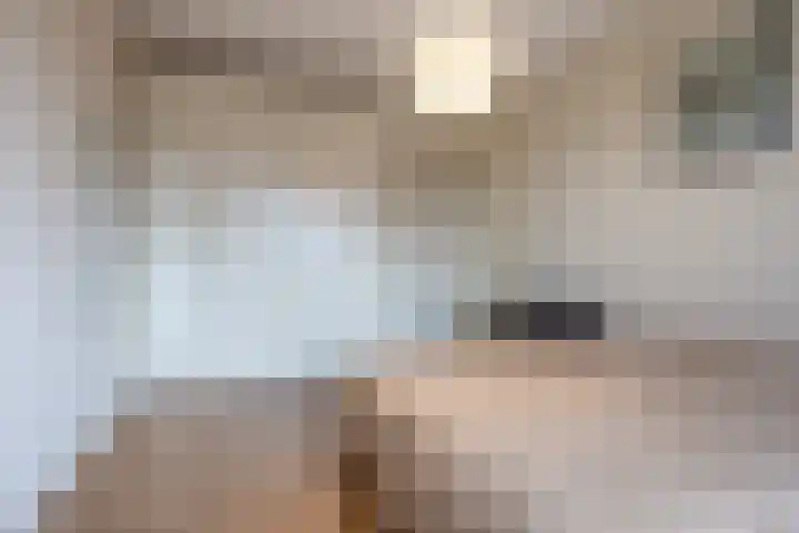 Koolhovenstraat 21 Beverwijk thumbnail 29