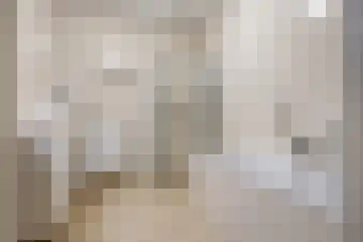 Koolhovenstraat 21 Beverwijk thumbnail 33