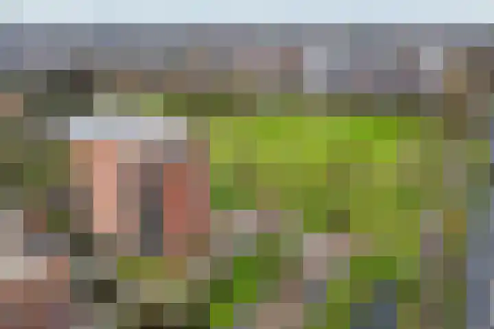 Koolhovenstraat 21 Beverwijk thumbnail 52