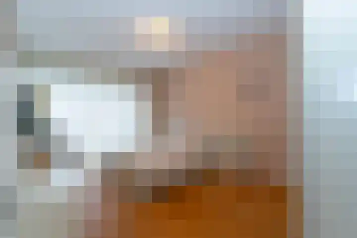 Koolmees 10 Hoogkarspel thumbnail 15