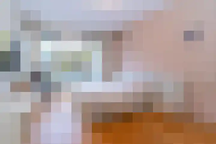 Koolmees 10 Hoogkarspel thumbnail 16