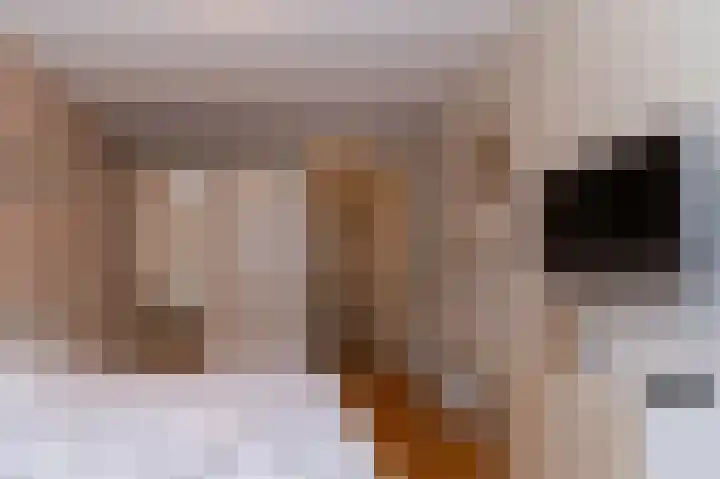 Koolmees 10 Hoogkarspel thumbnail 17