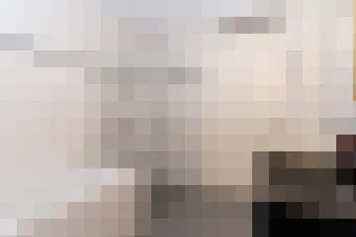 Koolmees 10 Hoogkarspel thumbnail 18