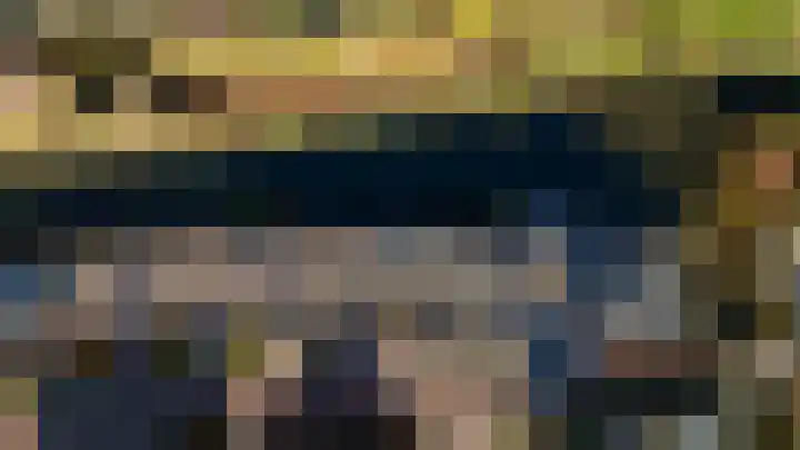 Koolmees 10 Hoogkarspel thumbnail 25