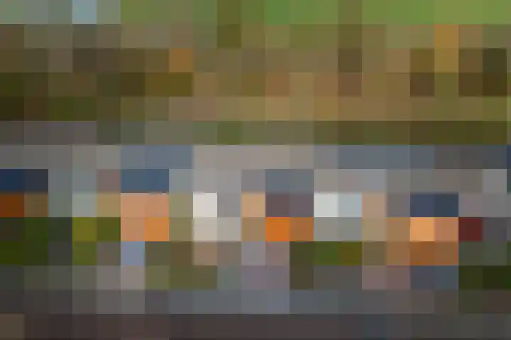Koolmees 10 Hoogkarspel thumbnail 28