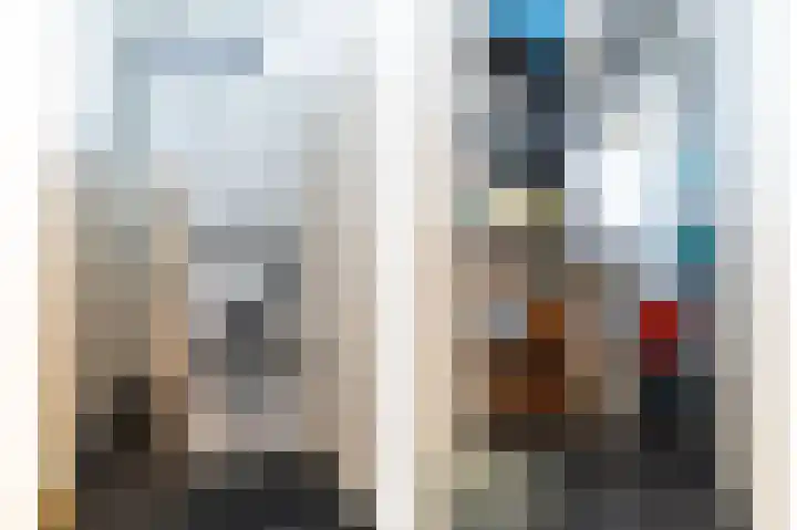 Koolmees 10 Hoogkarspel foto 3
