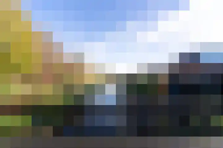 Koolmees 10 Hoogkarspel thumbnail 38