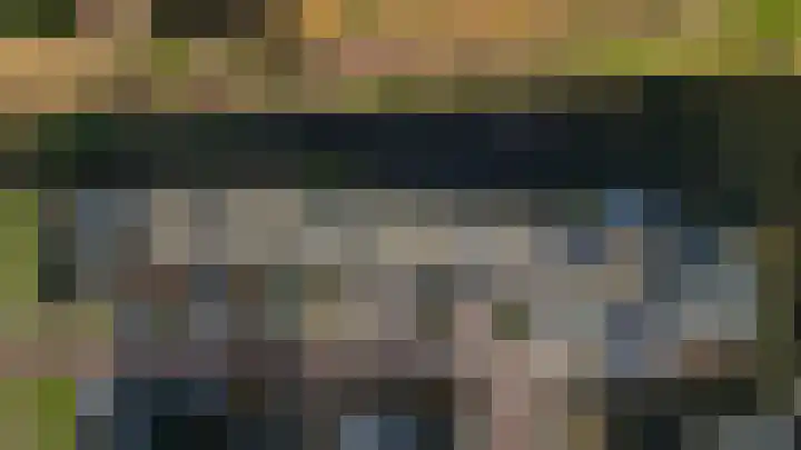 Koolmees 10 Hoogkarspel thumbnail 39