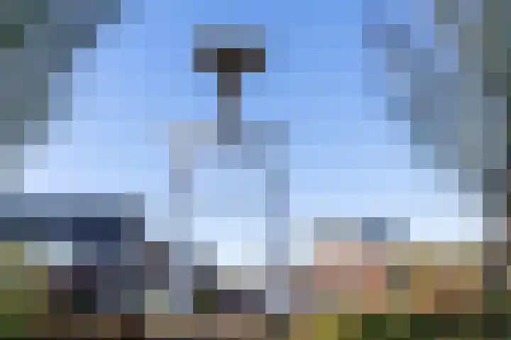 Koolmees 10 Hoogkarspel thumbnail 40