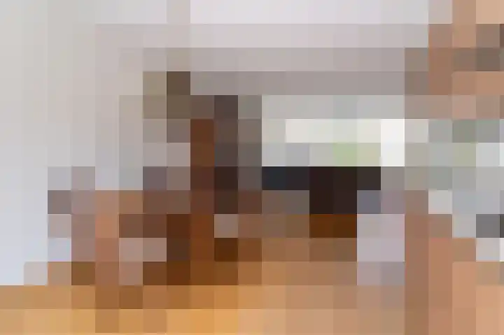 Koolmees 10 Hoogkarspel thumbnail 9