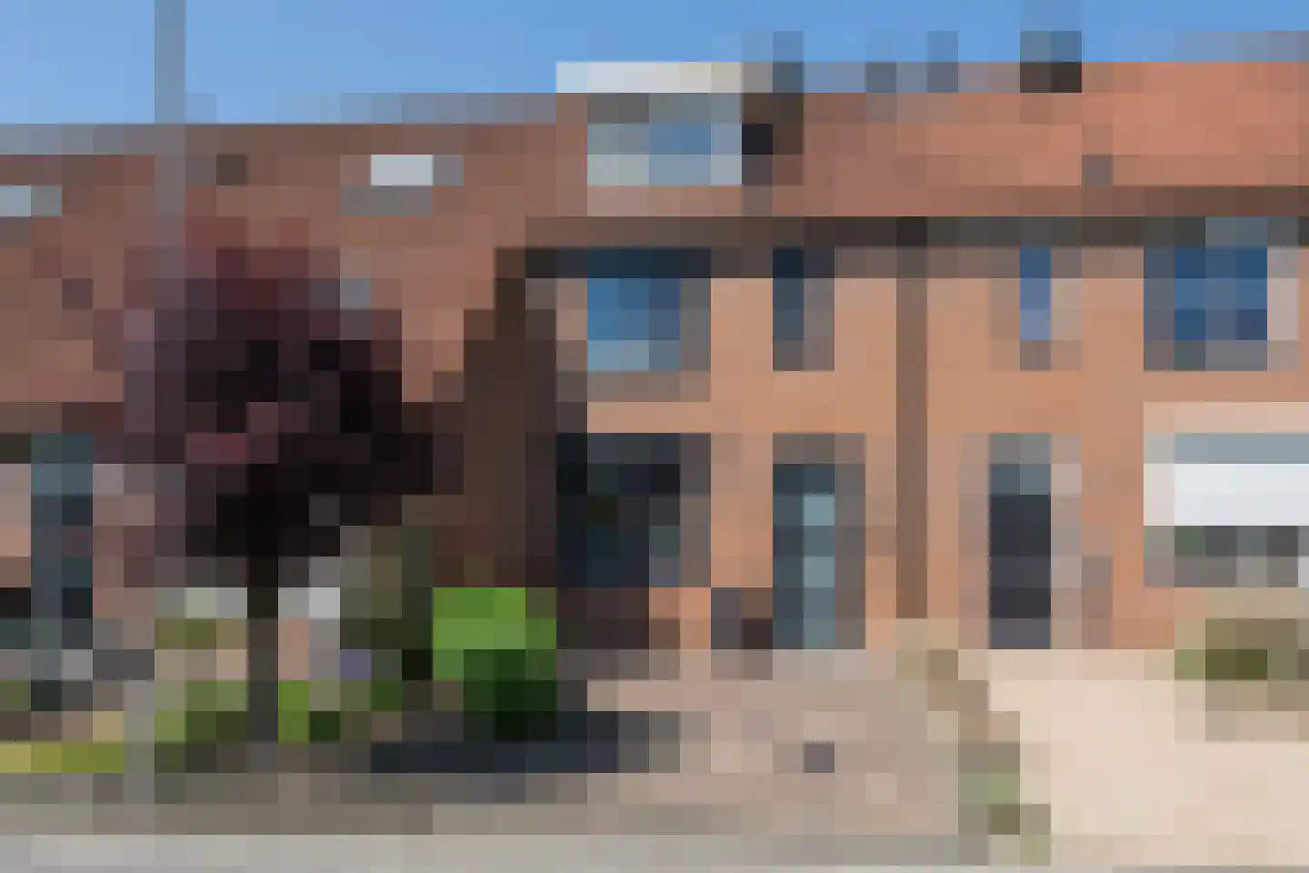 Koolmees 107 in Sommelsdijk