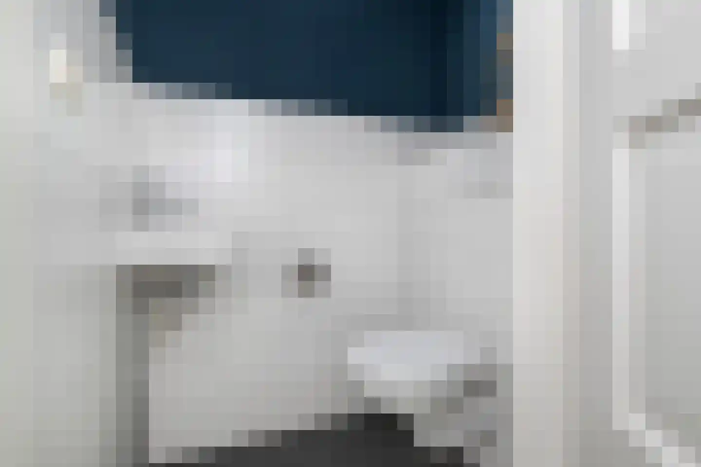 Koolmees 107 Sommelsdijk thumbnail 10