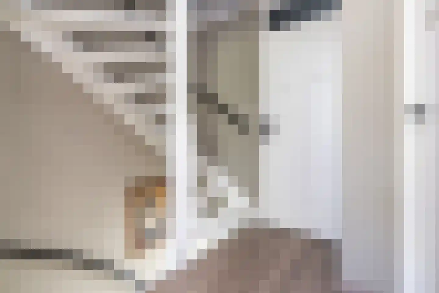 Koolmees 107 Sommelsdijk thumbnail 12