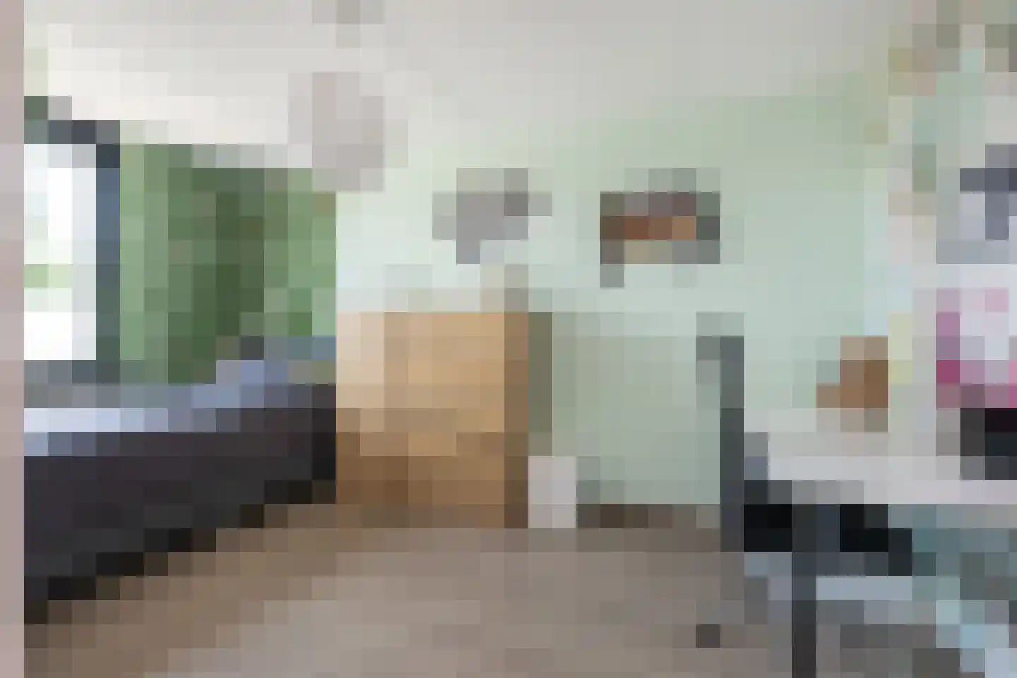 Koolmees 107 Sommelsdijk thumbnail 15
