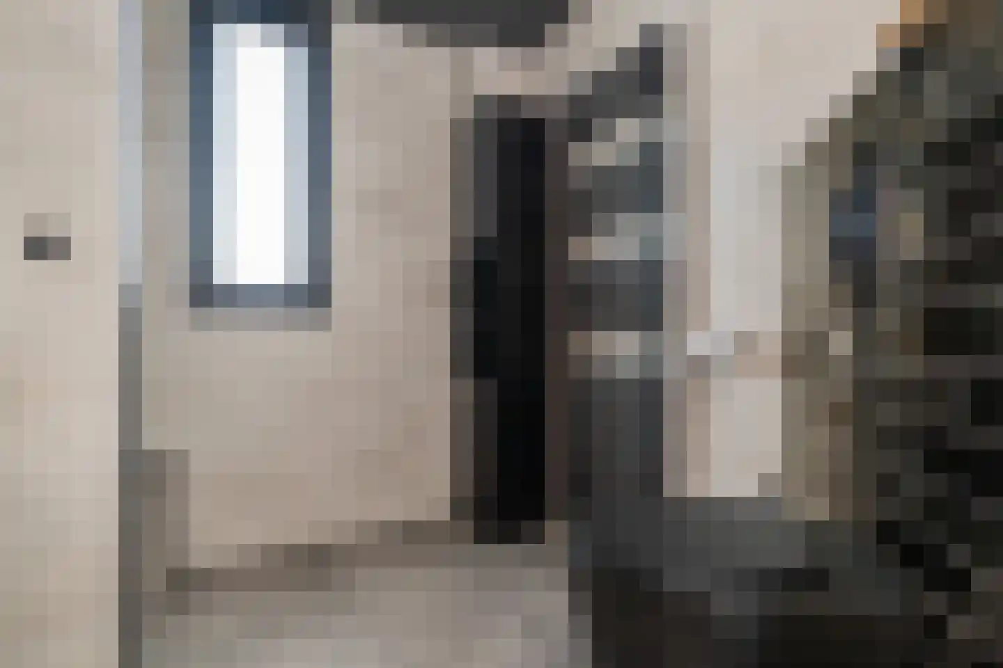 Koolmees 107 Sommelsdijk thumbnail 17