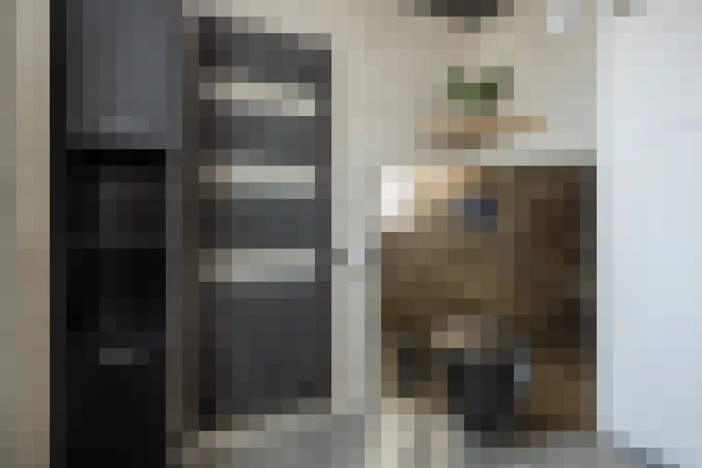 Koolmees 107 Sommelsdijk thumbnail 18